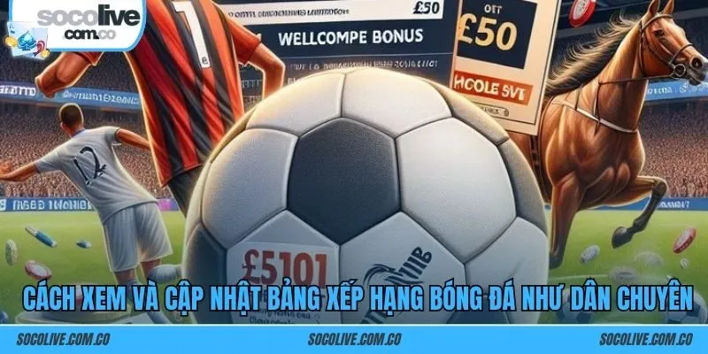 Cách xem và cập nhật bảng xếp hạng bóng đá như dân chuyên