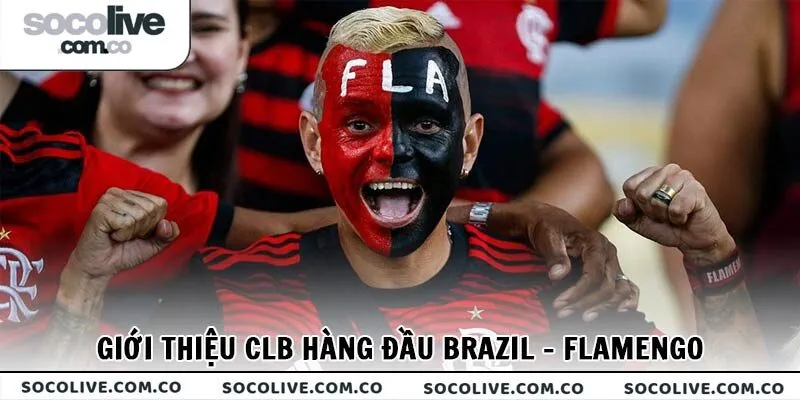 Giới thiệu thông tin cơ bản về CLB hàng đầu Brazil - Flamengo