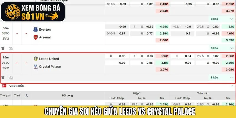 Soi kèo từ Socolive về trận đấu giữa Leeds và Crystal Palace