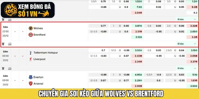 Soi kèo bóng đá cho trận Wolves vs Brentford