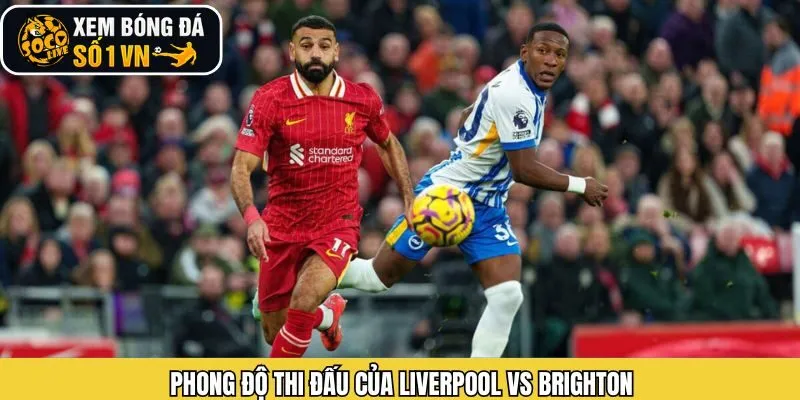 Kết quả và hiệu suất thi đấu gần đây của Liverpool vs Brighton