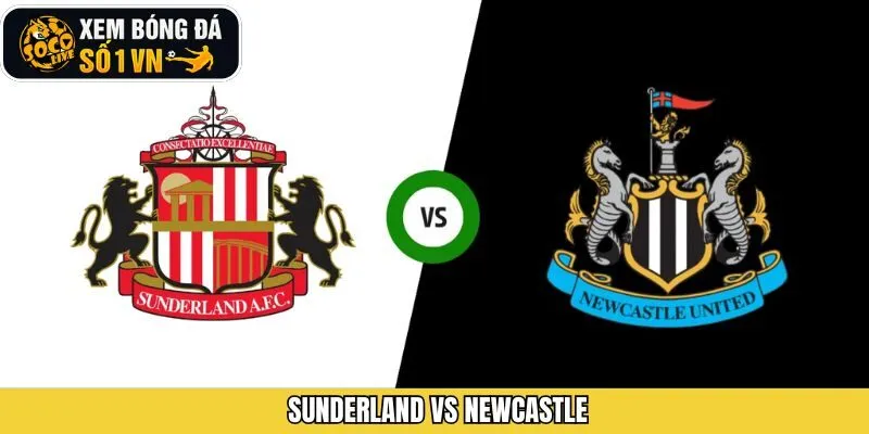 Sunderland Vs Newcastle 14/12 - Phân Tích Kèo Từ Socolive